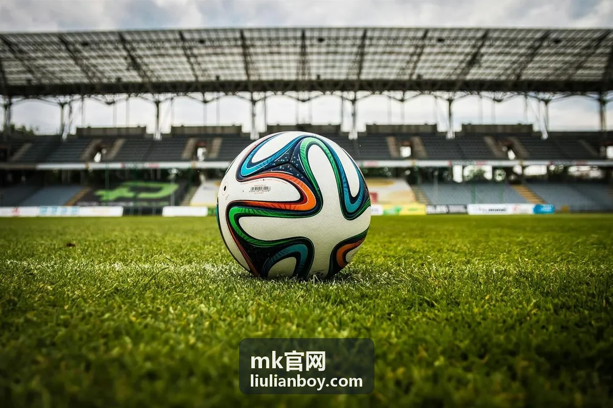 mk官网真皮肩背包分类封面