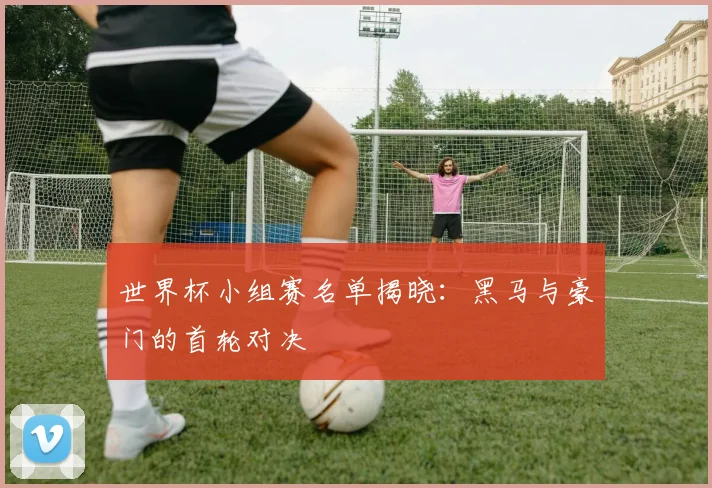 世界杯小组赛名单揭晓:黑马与豪门的首轮对决