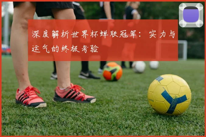 深度解析世界杯蝉联冠军：实力与运气的终极考验