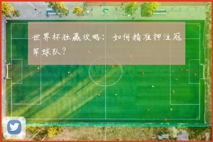 世界杯独赢攻略:如何精准押注冠军球队?