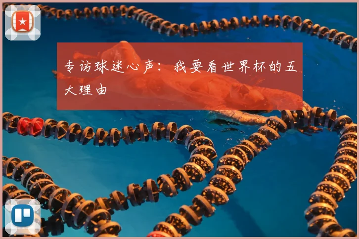 专访球迷心声:我要看世界杯的五大理由