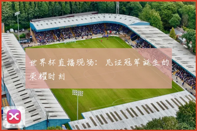 世界杯直播现场:见证冠军诞生的荣耀时刻