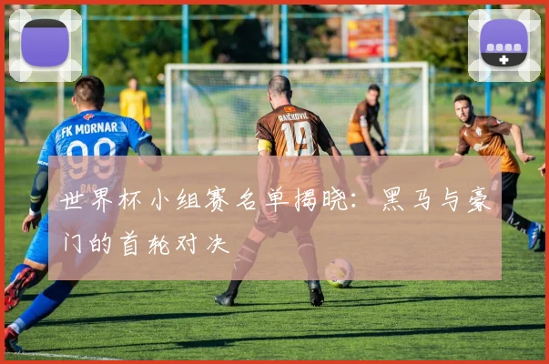 世界杯小组赛名单揭晓:黑马与豪门的首轮对决