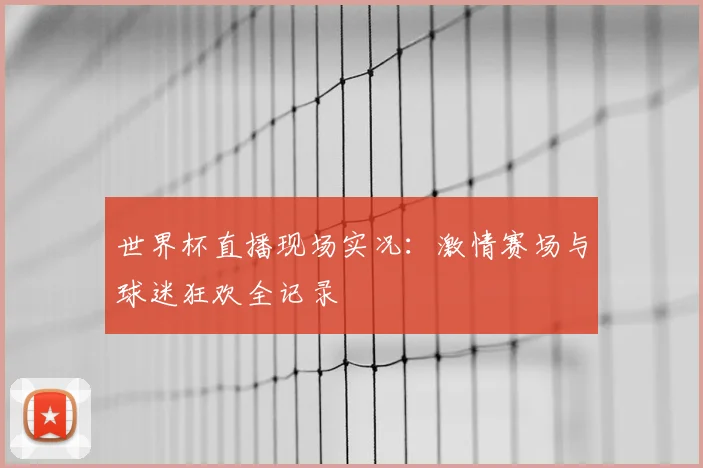 世界杯直播现场实况:激情赛场与球迷狂欢全记录