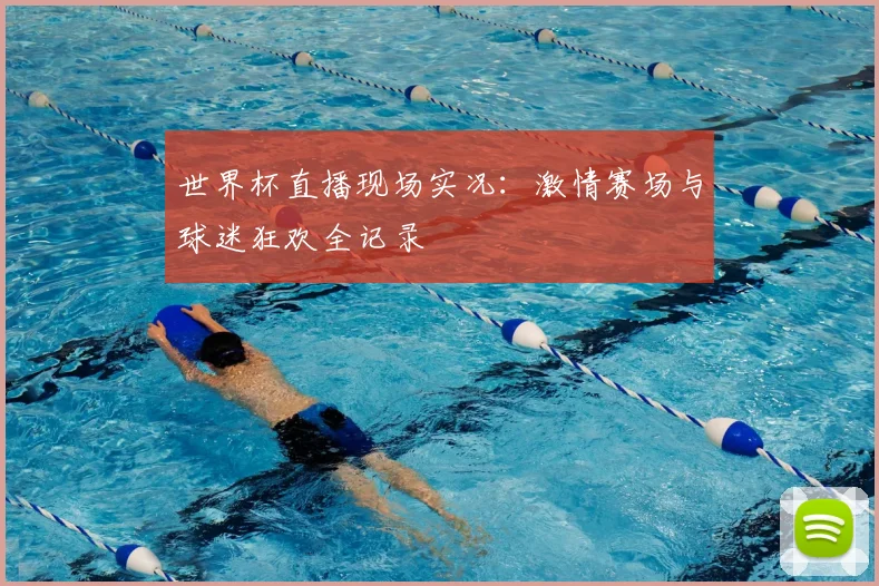 世界杯直播现场实况:激情赛场与球迷狂欢全记录