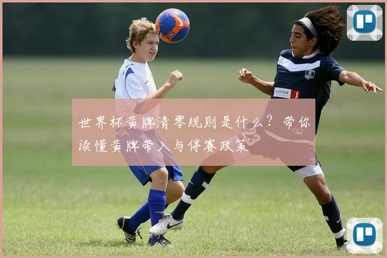 世界杯黄牌清零规则是什么?带你读懂黄牌带入与停赛政策