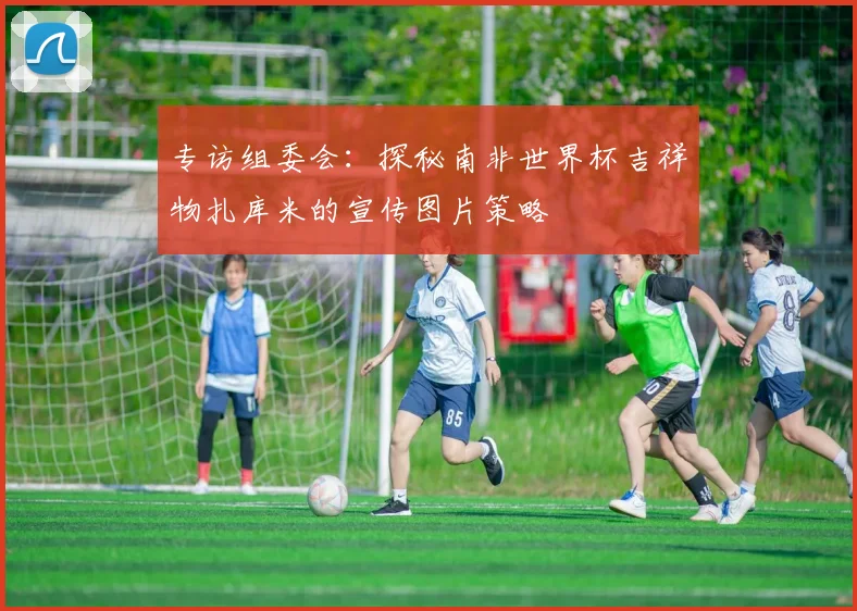 专访组委会:探秘南非世界杯吉祥物扎库米的宣传图片策略