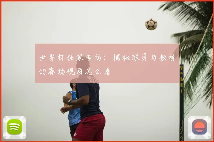 世界杯独家专访:揭秘球员与教练的赛场视角怎么看